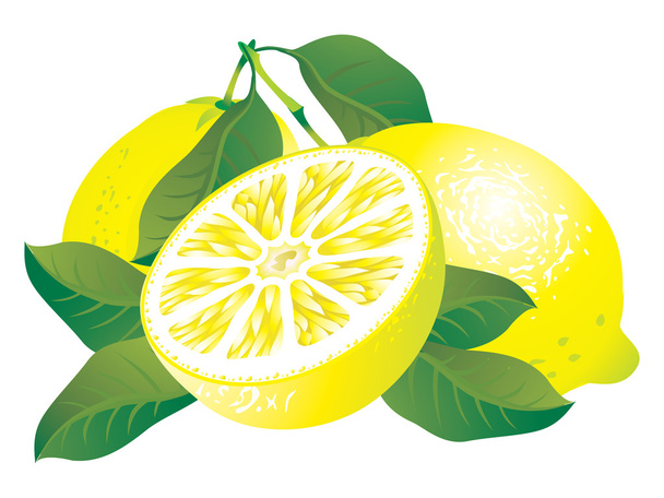 Zitronen - Vektor, Bild
