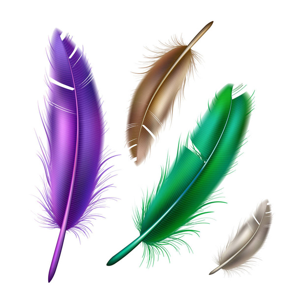 Vector realistic peacock peafowl color feather set - Vektor, obrázek