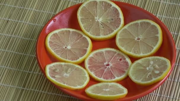 Вращение в красной тарелке ломтиками лимонных фруктов
  - Кадры, видео