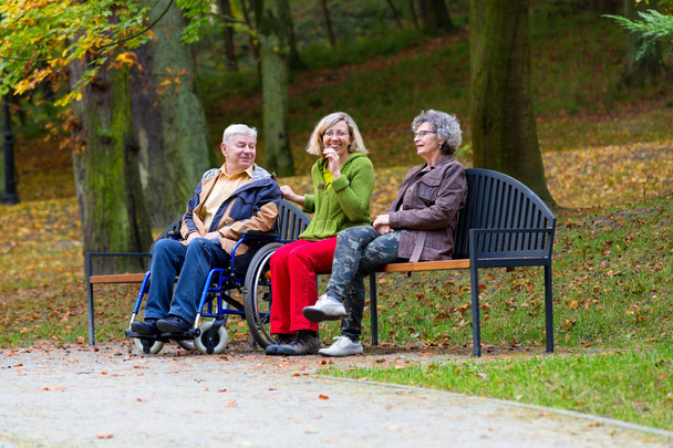family in the park sitting on a bench with man on wheelchair and talking - Photo, image