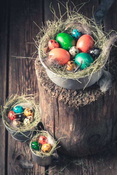 Colorful eggs for Easter on hay in metal cups - Foto, Bild
