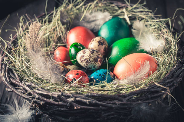 Colourfull Easter eggs on hay with feathers - Photo, Image