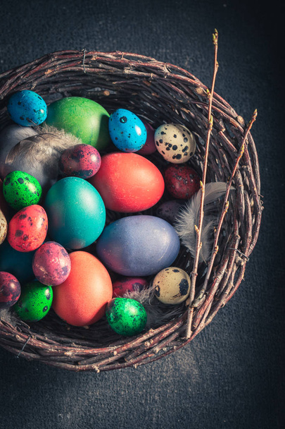 Colourfull Easter eggs in wicker basket with feathers - 写真・画像