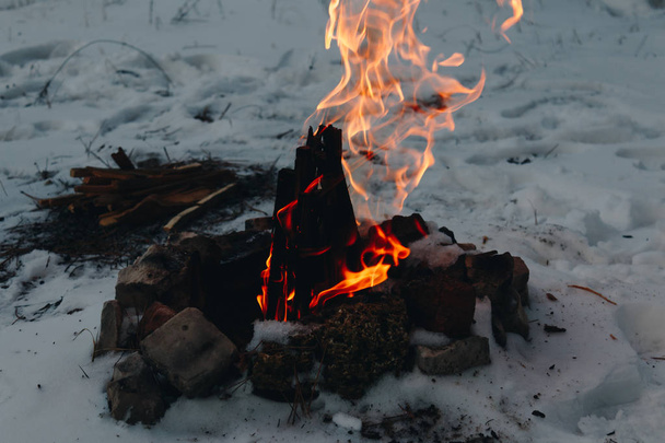 Bonfire in the winter forest with snow on the background - Foto, Imagen