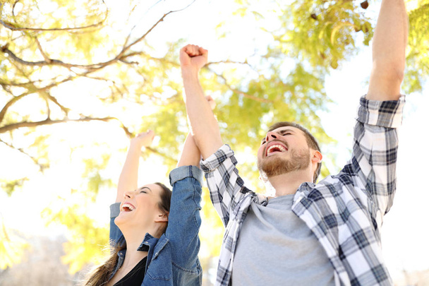 Excited couple celebrating success raising arms in a park with trees in the background - Photo, image