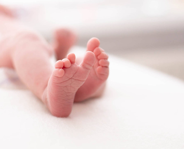 穏やかな赤ちゃんの足。足と新生児のかかとの穏やかな背景をぼかした写真 - 写真・画像