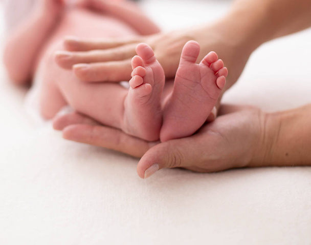 Baby feet cupped into mothers hands. Gentle blurred background of the feet and heels of a newborn - Foto, Imagem