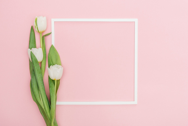 empty frame with white tulip flowers isolated on pink - Photo, Image