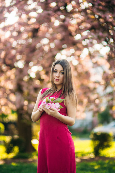 Portrait of charming girl in a fuchsia dress. She hold a flowers of sakura in her hands. Background of sakura tree - Foto, afbeelding