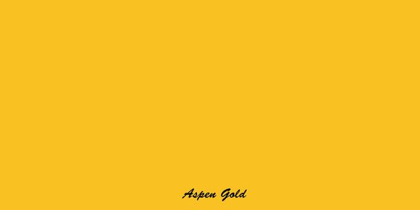 Aspen Gold- One of the collection of fashion colors - Photo, Image