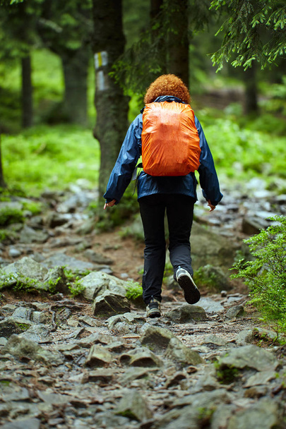 Woman hiker in raincoat on a trail in the pine forest - Fotoğraf, Görsel