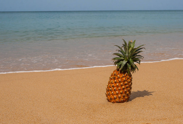 pineapple lying on the sand in Phuket Thailand - Foto, imagen