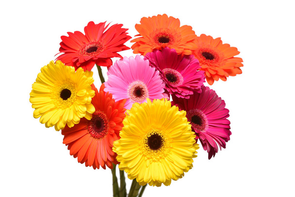 Bouquet of beautiful delicate flowers gerberas isolated on white background. Fashionable creative floral composition. Summer, spring. Flat lay, top view - Photo, Image