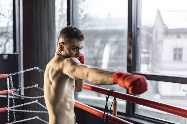 Punching Boxer Man - Fotoğraf, Görsel