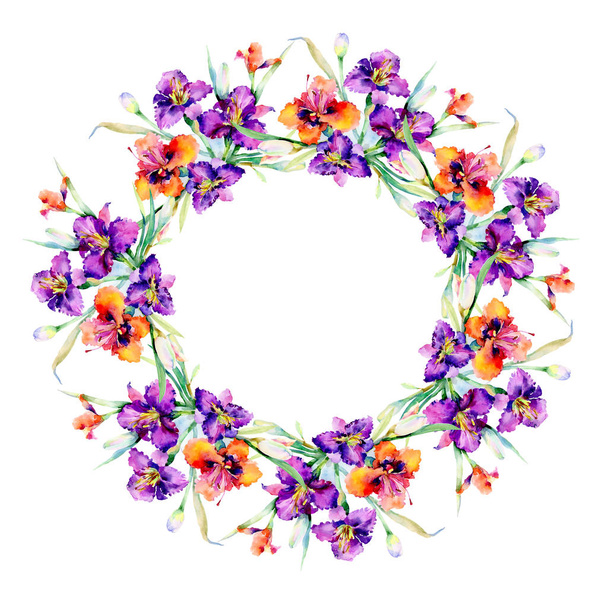 Μωβ daylily floral μπουκέτο λουλούδια βοτανική. Ακουαρέλα φόντο εικόνα σύνολο. Πλαίσιο συνόρων στολίδι τετράγωνο. - Φωτογραφία, εικόνα