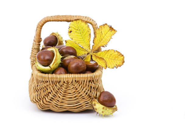 cesta llena de castañas y hojas otoñales
 - Foto, imagen
