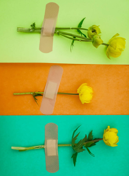 yellow wild flowers  with adhesive tapes on green, yellow paper  background. - Foto, immagini