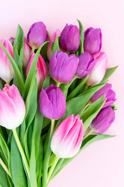 Pink fresh tulips - Zdjęcie, obraz