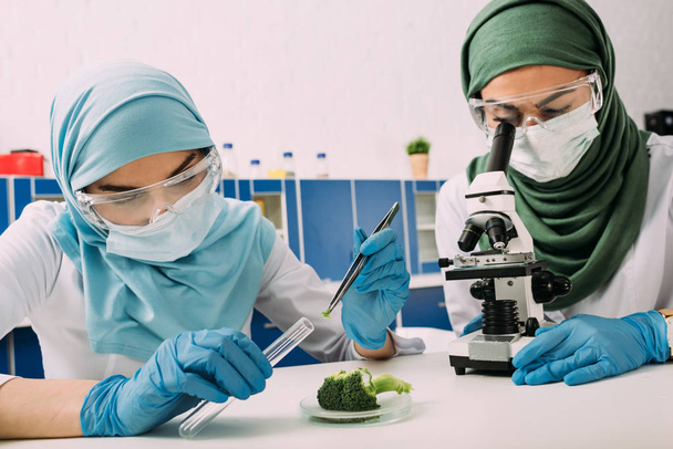 kobiet muzułmańskich naukowców patrząc przez Mikroskop i biorąc próbkę brokuły w eksperyment w laboratorium chemiczne - Zdjęcie, obraz