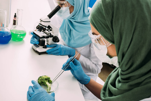 cientistas muçulmanos fêmeas olhando através do microscópio e tomando amostra de brócolis durante o experimento em laboratório químico
 - Foto, Imagem