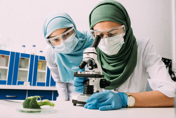θηλυκό μουσουλμάνων επιστημόνων που χρησιμοποιώντας το μικροσκόπιο κατά τη διάρκεια πειράματος με μπρόκολο σε χημικό εργαστήριο - Φωτογραφία, εικόνα