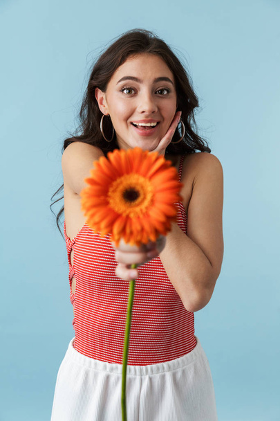 Image of a beautiful cute excited young woman posing isolated over blue wall background holding flower. - Zdjęcie, obraz
