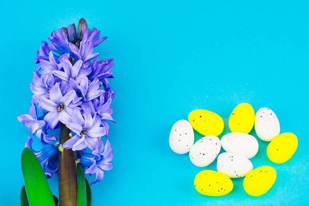 Composição de primavera com flores de jacinto. Conceito festivo de Páscoa com ovos pintados. O fundo é azul, o lugar para a assinatura
 - Foto, Imagem