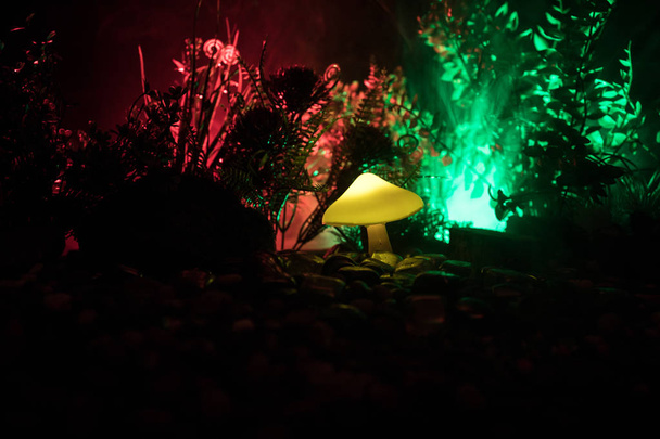 Fantasy glowing mushroom in mystery dark forest close-up. Beautiful macro shot of magic mushroom or souls lost in avatar forest. Fairy lights on background with fog. Selective focus - Photo, Image
