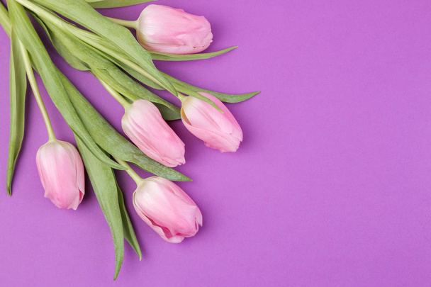 Un ramo de hermosas flores de tulipanes rosados sobre un fondo púrpura brillante de moda. Primavera. vacaciones. vista desde arriba. lugar para el texto. marco de flor
 - Foto, Imagen