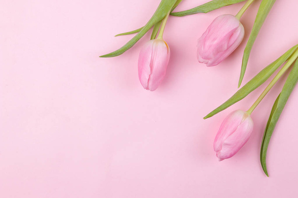A bouquet of beautiful pink tulips flowers on a trendy pink background. Spring. holidays. top view. free place. flower frame - 写真・画像
