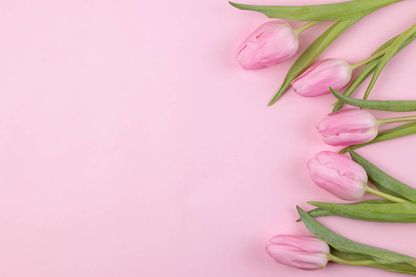 A bouquet of beautiful pink tulips flowers on a trendy pink background. Spring. holidays. top view. free place. flower frame - 写真・画像