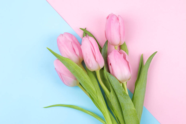 Bukiet kwiatów piękny różowy tulipanów na Modny różowy i niebieski tło wielobarwny. Wiosną. wakacje. Widok z góry - Zdjęcie, obraz