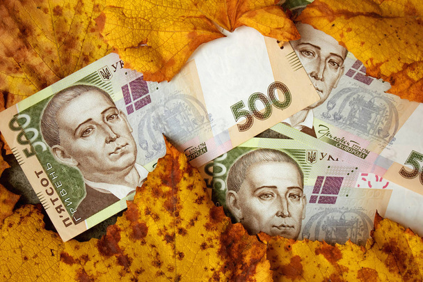 Крупним планом у валюті України - Фото, зображення