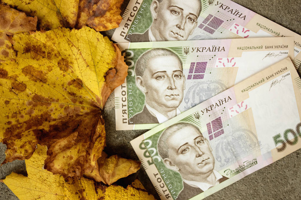 Ukrainian currency close up - Photo, Image