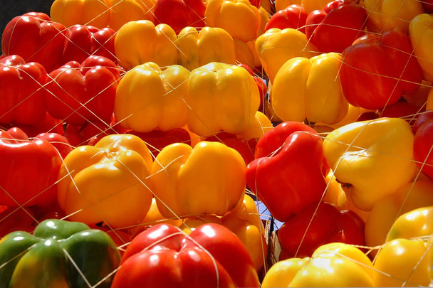 Prodotti alimentari, peperoni rossi e gialli
. - Foto, immagini