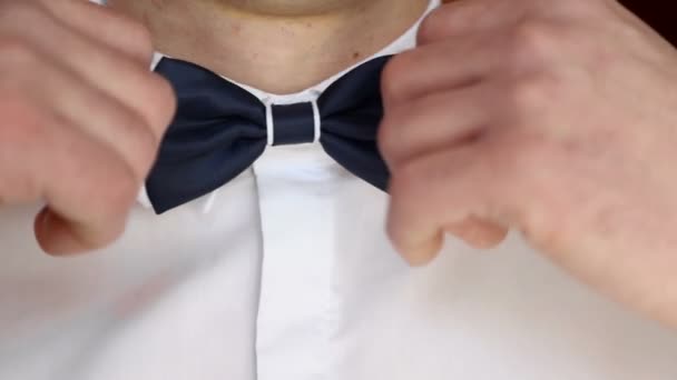 Mens hands is adjusting his bow tie, preparing for the holiday - Footage, Video
