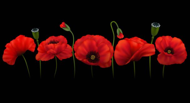 Illustration of template for greeting or invitation card with poppy flowers on black background - Vector, Image