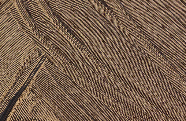 Puhdistettu traktorin hiekalla Välimeren rannalla aamulla. Antibes, Norsunluurannikko, Ranska. Suuri tila kirjoittamista varten
 - Valokuva, kuva