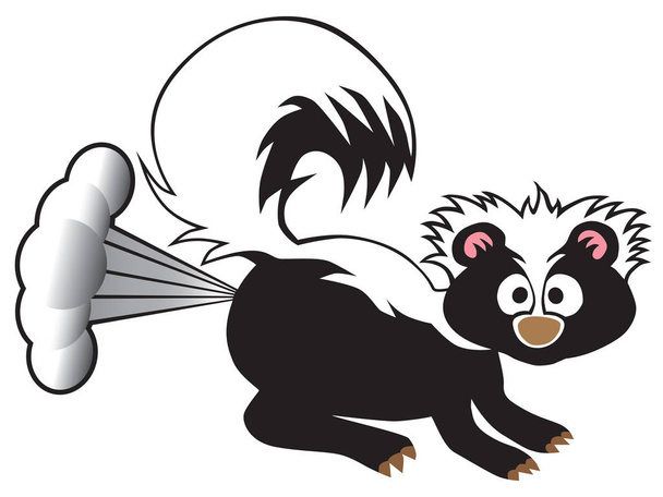 A young skunk has been startled so he is releasing his defensive spray - Vector, Image
