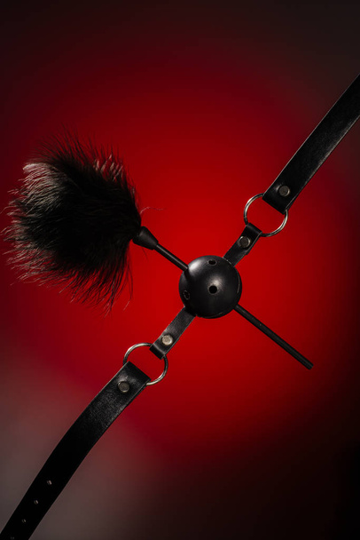 Feathered and ball gag fetish equipment isolated on red background - Image - Photo, Image