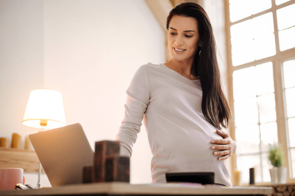 Charming pregnant businesswoman taking work at home - Photo, Image