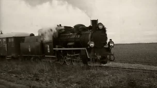 Old passangers train running on the tracks. Retro locomotive with steam engine loopable black and white footage. - Footage, Video