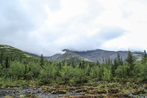 美しい冷たい北の自然: 木々 や雲と重い曇り空の下の岩 - 写真・画像