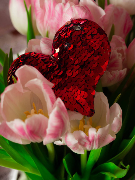 tulipani rosa ravvicinati con lustrini cardiaci paillettes rosse, primavera, messa a fuoco selettiva
 - Foto, immagini
