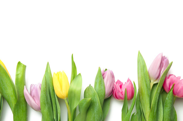 Krásné čerstvé tulipány na bílém pozadí - Fotografie, Obrázek
