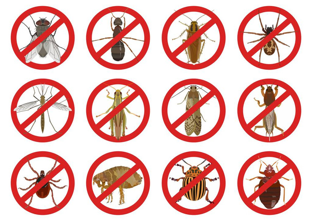 Сборник красных предупреждающих знаков о вредных насекомых. Векторная иллюстрация
 - Вектор,изображение