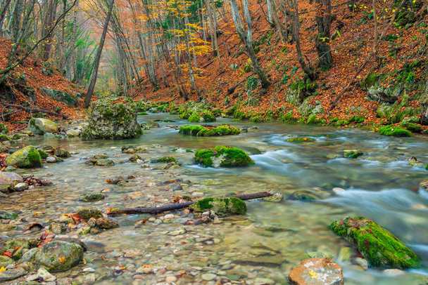canyon avec rivière de montagne, magnifique emplacement naturel en automne dans les montagnes
 - Photo, image