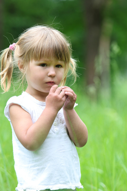 beautiful little girl on nature - Valokuva, kuva