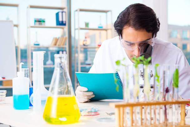 Laboratuarda çalışan erkek biyoteknoloji bilim adamı kimyacı - Fotoğraf, Görsel