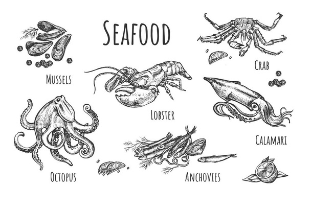 Vector illustration of seafood set. Mussels, lobster, crab, octopus, anchovies, calamari. Vintage hand drawn style. - Vektor, Bild